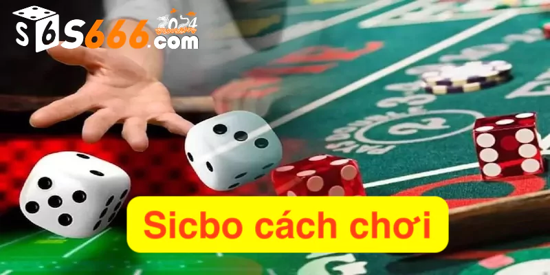 Sicbo cách chơi hiệu quả được chuyên gia bật mí tại S666