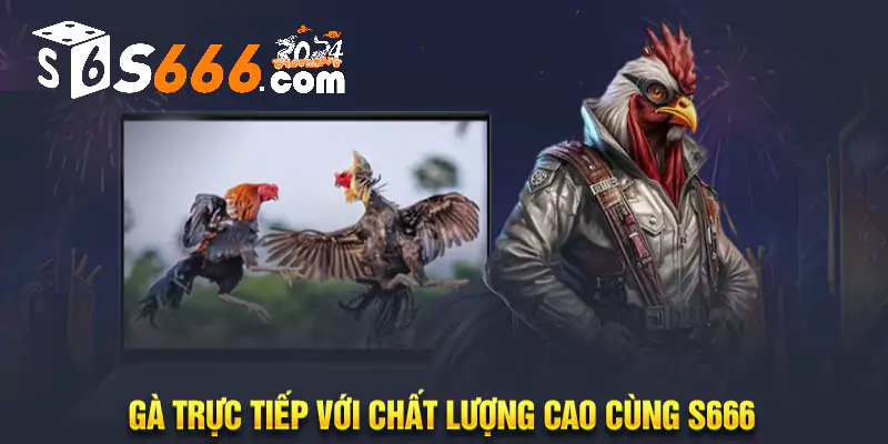 Giới thiệu game đá gà casino trực tiếp tại S666