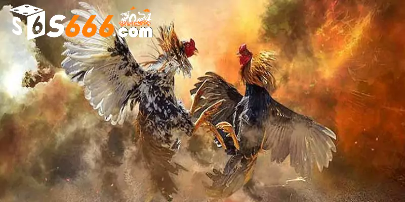 Mẹo đá gà Casino trực tiếp nhanh thắng tại S666