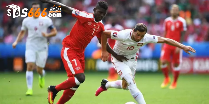 Lịch sử đối đầu 2 đội Hungary vs Thuỵ Sỹ