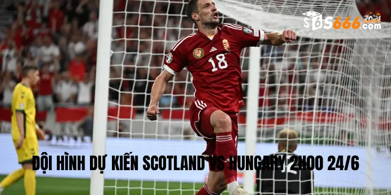 Đội hình dự kiến Scotland vs Hungary trận đấu lúc 2h00 24/6
